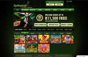 Springbok Casino website
